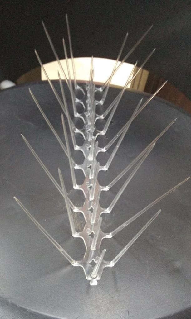 Pigeon Control Spikes (Set of 10)